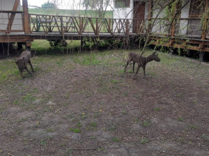 488253255 29827531176834050 6401527018589458199 n 